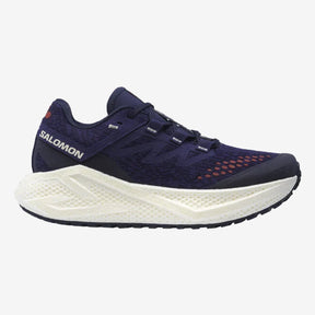 Salomon AERO GLIDE 3 GRVL
